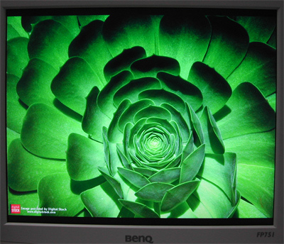 3999元,BenQ FP751 17英寸液晶顯示器